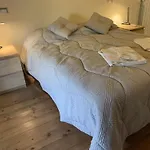 马约尔公寓 * 特雷卡斯塔尼
